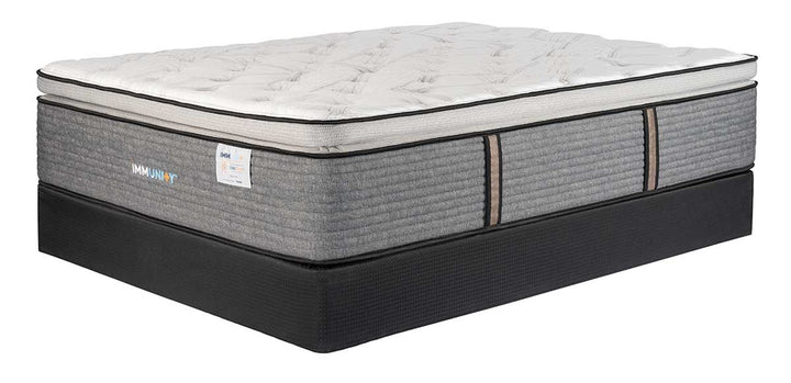 Immunity Sienna Pillow Top Mattress by Therapedic